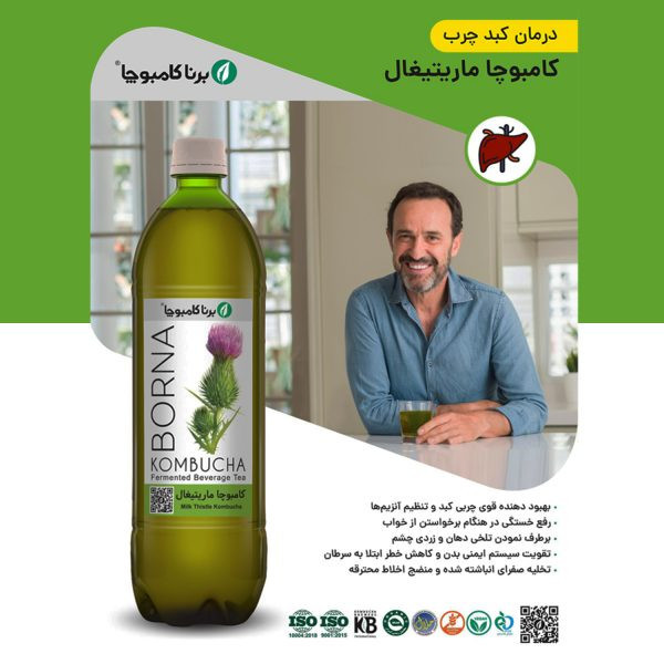 نوشیدنی کامبوچا ماریتیغال برنا کامبوچا - 1 لیتر