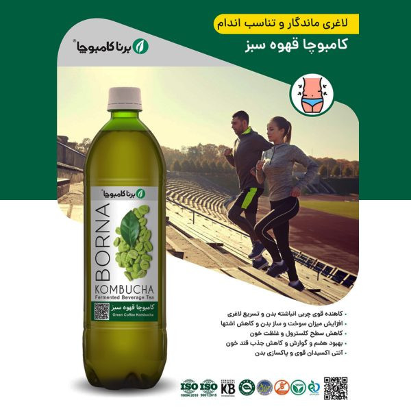 نوشیدنی کامبوچا قهوه سبز کامبوچا - 1 لیتر