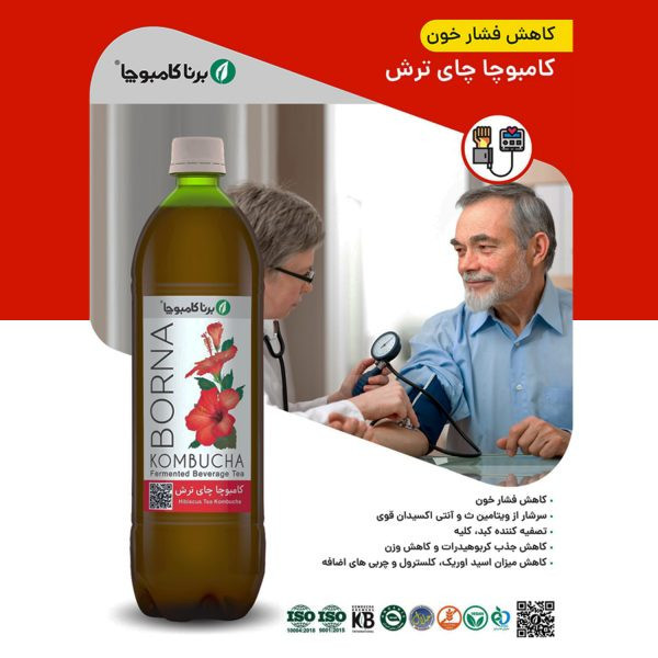 نوشیدنی کامبوچا چای ترش برنا کامبوچا-1 لیتر